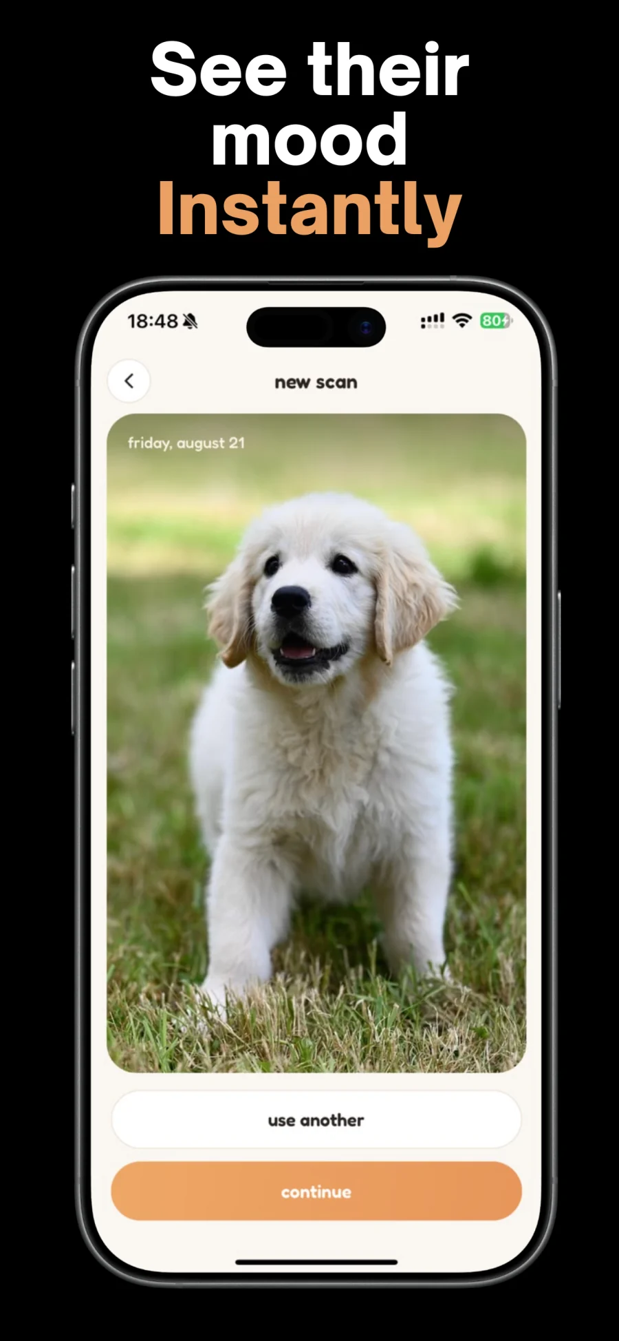 See their mood instantly: a new scan of a golden retriever puppy on grass